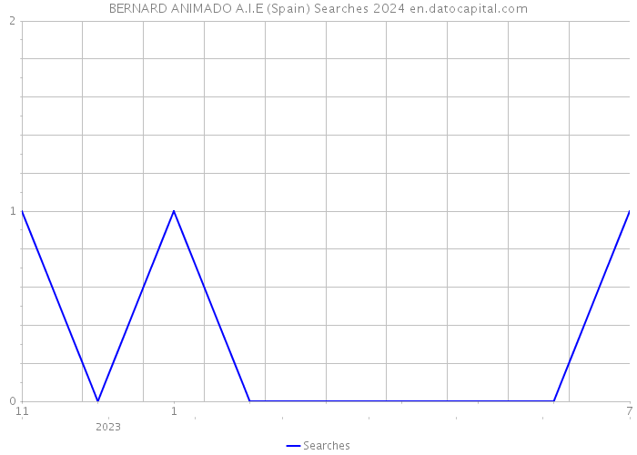 BERNARD ANIMADO A.I.E (Spain) Searches 2024 