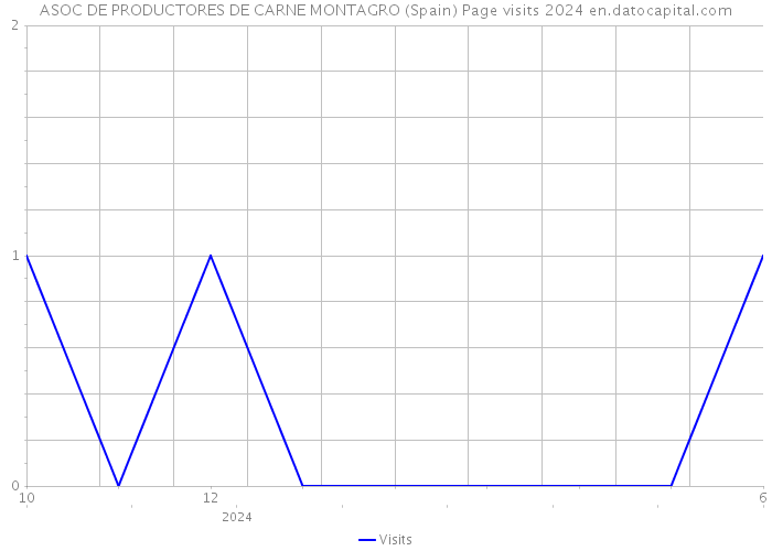ASOC DE PRODUCTORES DE CARNE MONTAGRO (Spain) Page visits 2024 