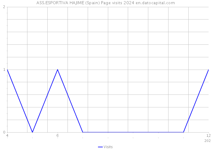 ASS.ESPORTIVA HAJIME (Spain) Page visits 2024 