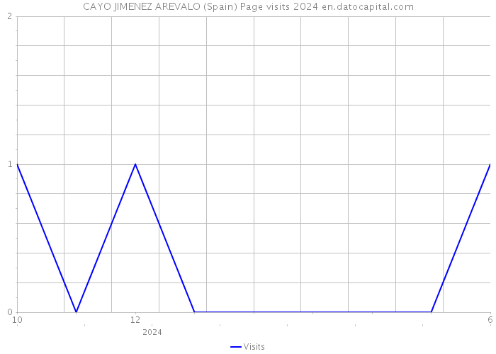 CAYO JIMENEZ AREVALO (Spain) Page visits 2024 