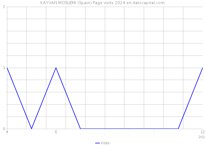 KAYVAN MOSLEMI (Spain) Page visits 2024 