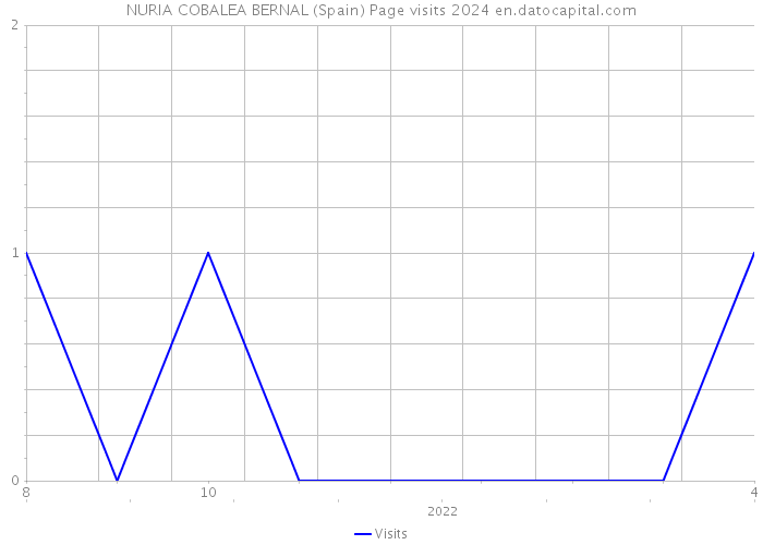 NURIA COBALEA BERNAL (Spain) Page visits 2024 