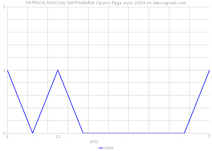 PATRICIA PASCUAL SANTAMARIA (Spain) Page visits 2024 