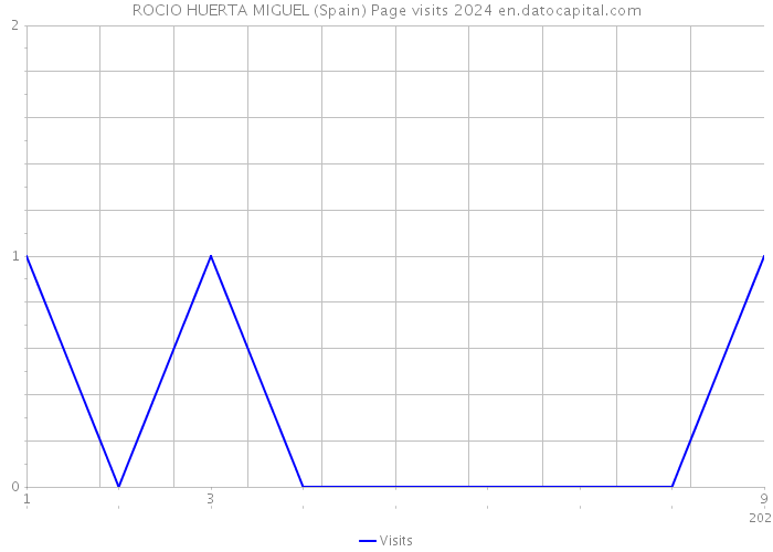 ROCIO HUERTA MIGUEL (Spain) Page visits 2024 