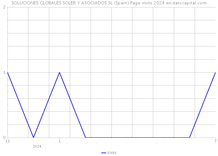 SOLUCIONES GLOBALES SOLER Y ASOCIADOS SL (Spain) Page visits 2024 