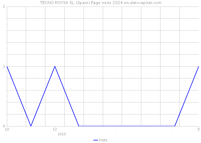 TECNO ROYSA SL. (Spain) Page visits 2024 