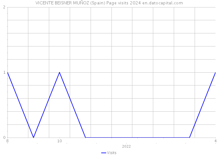 VICENTE BEISNER MUÑOZ (Spain) Page visits 2024 