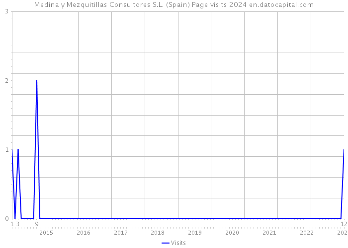 Medina y Mezquitillas Consultores S.L. (Spain) Page visits 2024 