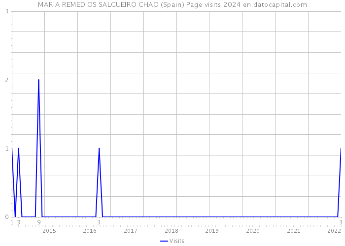 MARIA REMEDIOS SALGUEIRO CHAO (Spain) Page visits 2024 