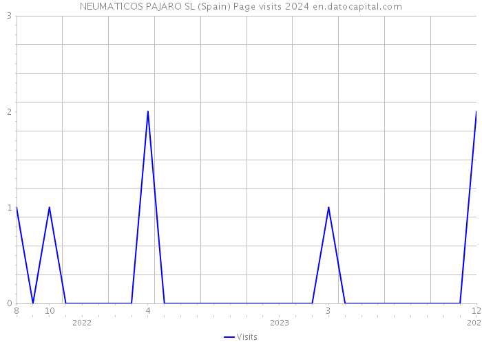 NEUMATICOS PAJARO SL (Spain) Page visits 2024 