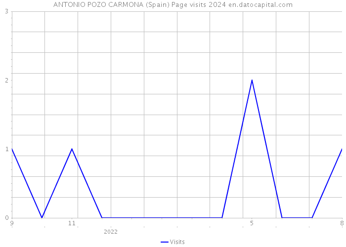 ANTONIO POZO CARMONA (Spain) Page visits 2024 