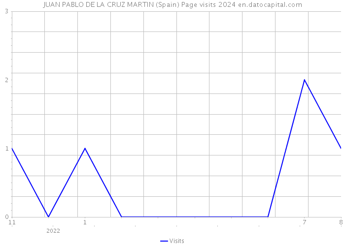 JUAN PABLO DE LA CRUZ MARTIN (Spain) Page visits 2024 