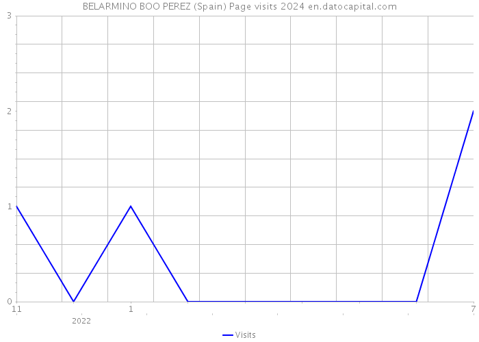 BELARMINO BOO PEREZ (Spain) Page visits 2024 