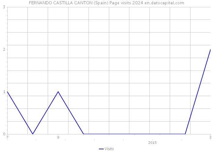 FERNANDO CASTILLA CANTON (Spain) Page visits 2024 