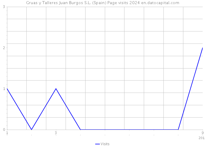 Gruas y Talleres Juan Burgos S.L. (Spain) Page visits 2024 