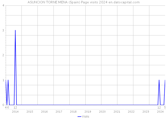 ASUNCION TORNE MENA (Spain) Page visits 2024 