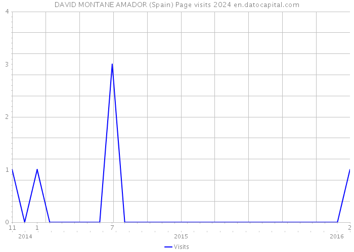 DAVID MONTANE AMADOR (Spain) Page visits 2024 