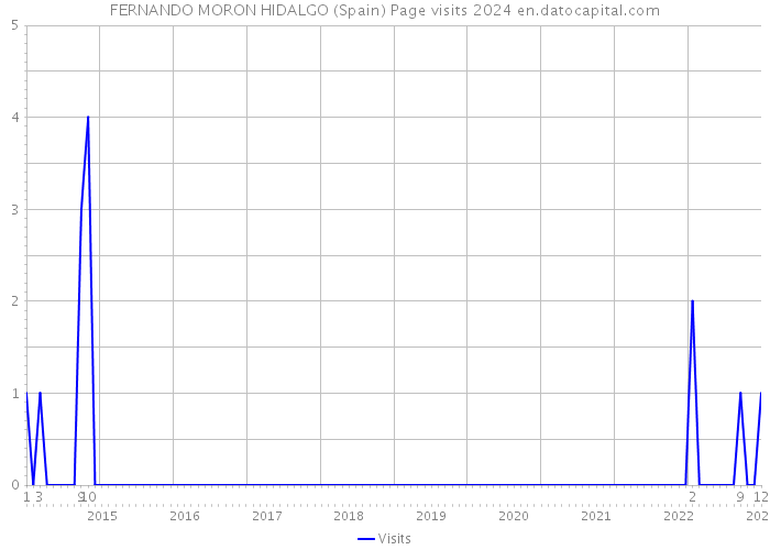 FERNANDO MORON HIDALGO (Spain) Page visits 2024 