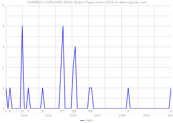 CARMELO CAÑIZARES DIAZ (Spain) Page visits 2024 