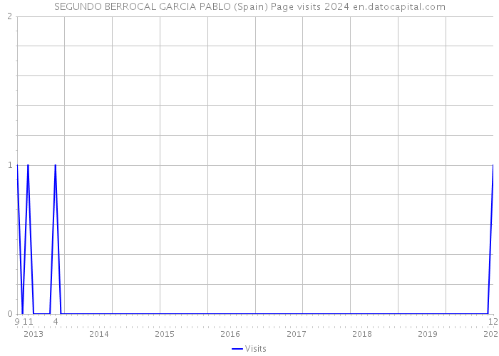 SEGUNDO BERROCAL GARCIA PABLO (Spain) Page visits 2024 