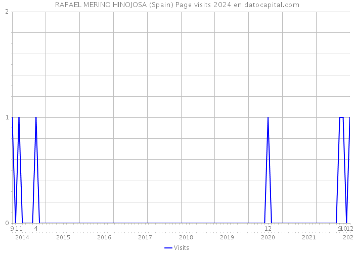 RAFAEL MERINO HINOJOSA (Spain) Page visits 2024 