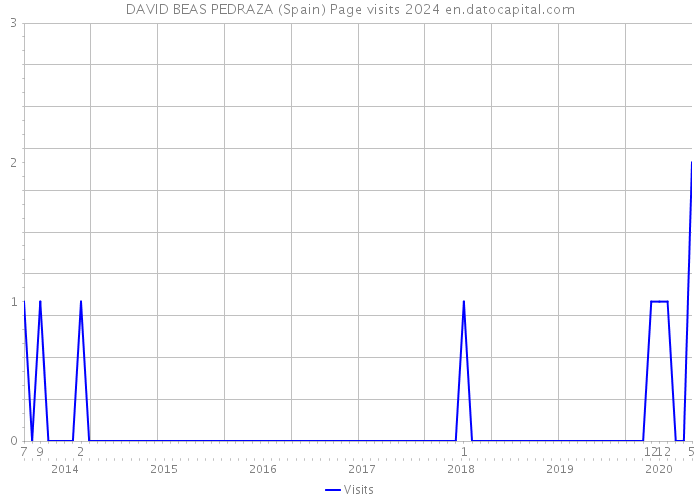 DAVID BEAS PEDRAZA (Spain) Page visits 2024 