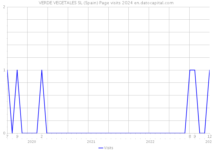 VERDE VEGETALES SL (Spain) Page visits 2024 