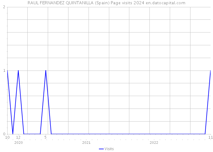 RAUL FERNANDEZ QUINTANILLA (Spain) Page visits 2024 