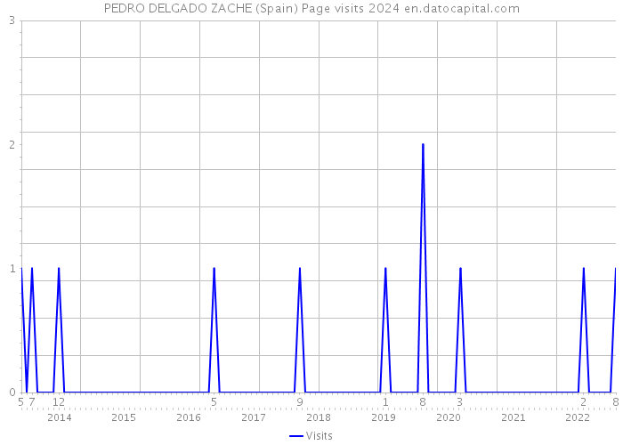 PEDRO DELGADO ZACHE (Spain) Page visits 2024 