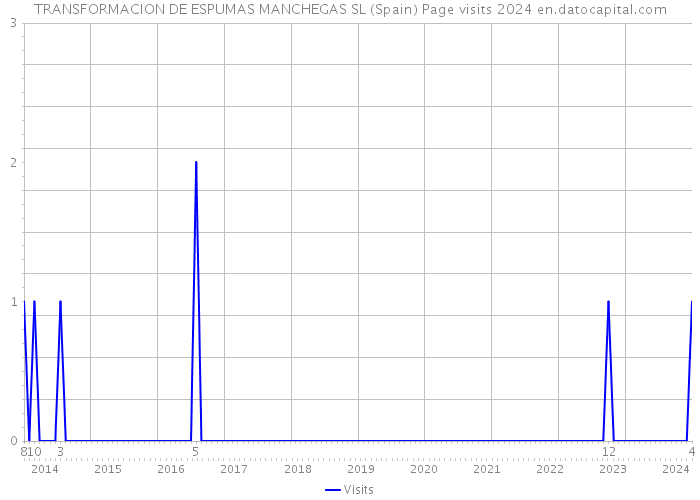 TRANSFORMACION DE ESPUMAS MANCHEGAS SL (Spain) Page visits 2024 