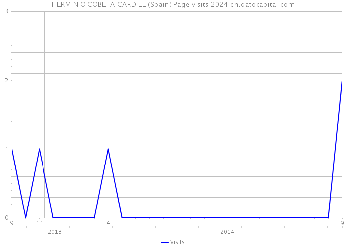 HERMINIO COBETA CARDIEL (Spain) Page visits 2024 