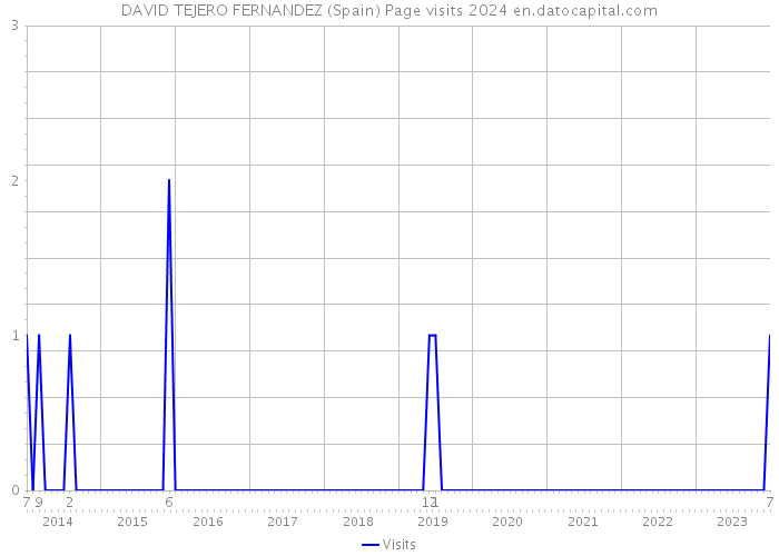 DAVID TEJERO FERNANDEZ (Spain) Page visits 2024 