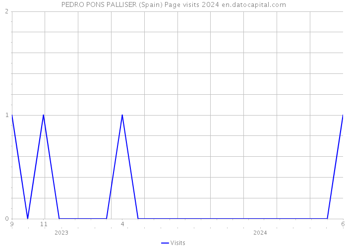 PEDRO PONS PALLISER (Spain) Page visits 2024 
