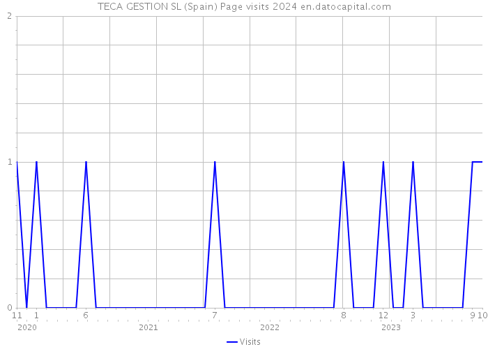 TECA GESTION SL (Spain) Page visits 2024 