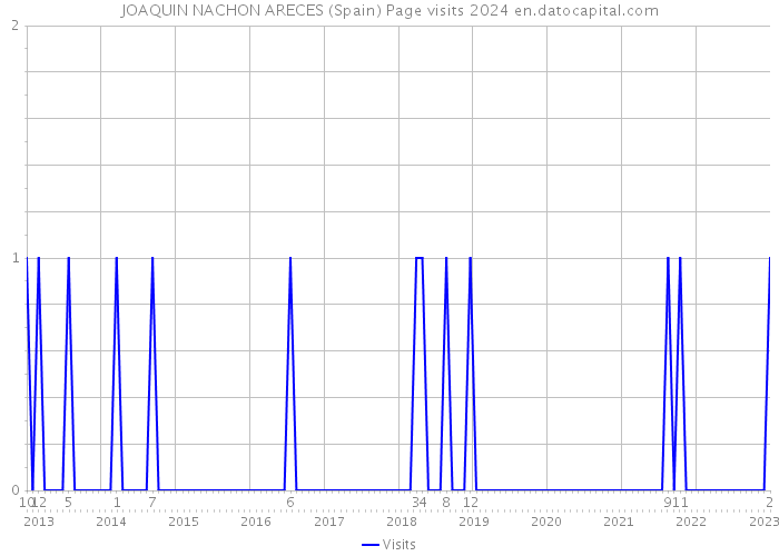JOAQUIN NACHON ARECES (Spain) Page visits 2024 