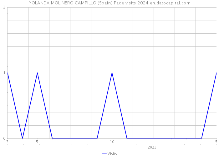 YOLANDA MOLINERO CAMPILLO (Spain) Page visits 2024 