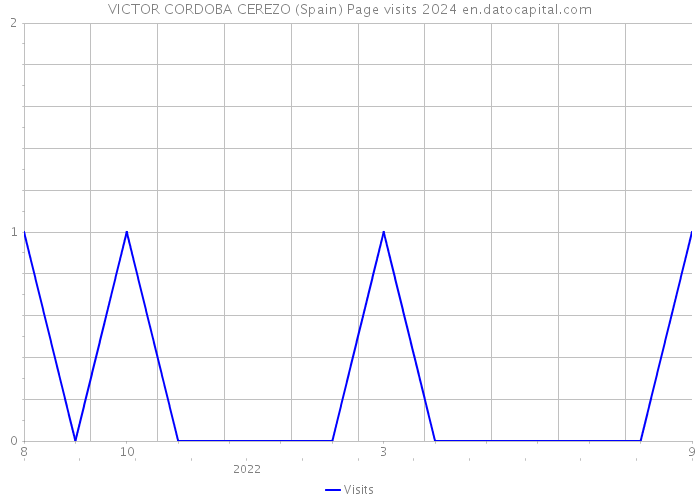 VICTOR CORDOBA CEREZO (Spain) Page visits 2024 