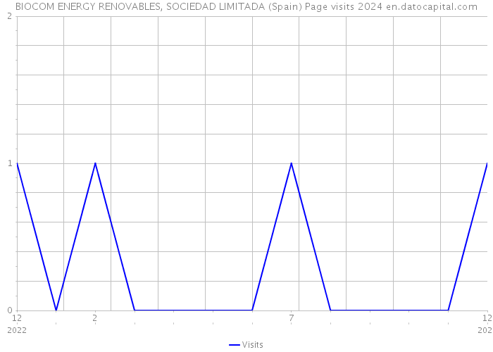 BIOCOM ENERGY RENOVABLES, SOCIEDAD LIMITADA (Spain) Page visits 2024 