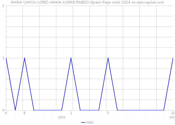 MARIA GARCIA LOPEZ-AMAIA AGIRRE PINEDO (Spain) Page visits 2024 