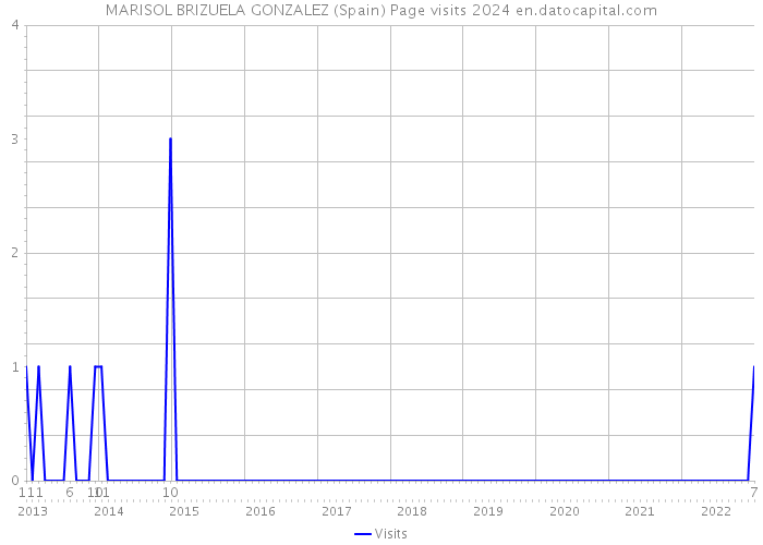 MARISOL BRIZUELA GONZALEZ (Spain) Page visits 2024 