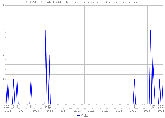 CONSUELO CARLES ALTUR (Spain) Page visits 2024 