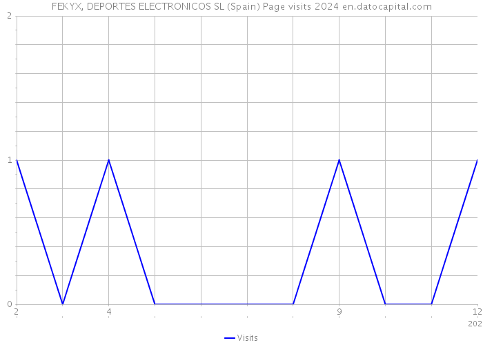 FEKYX, DEPORTES ELECTRONICOS SL (Spain) Page visits 2024 