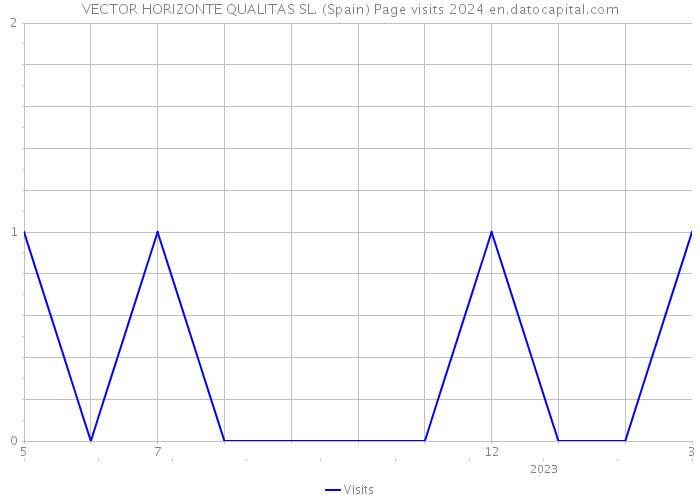 VECTOR HORIZONTE QUALITAS SL. (Spain) Page visits 2024 