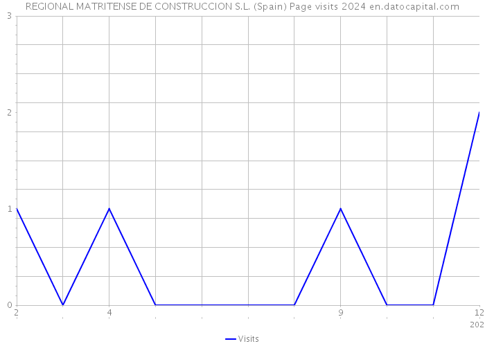 REGIONAL MATRITENSE DE CONSTRUCCION S.L. (Spain) Page visits 2024 
