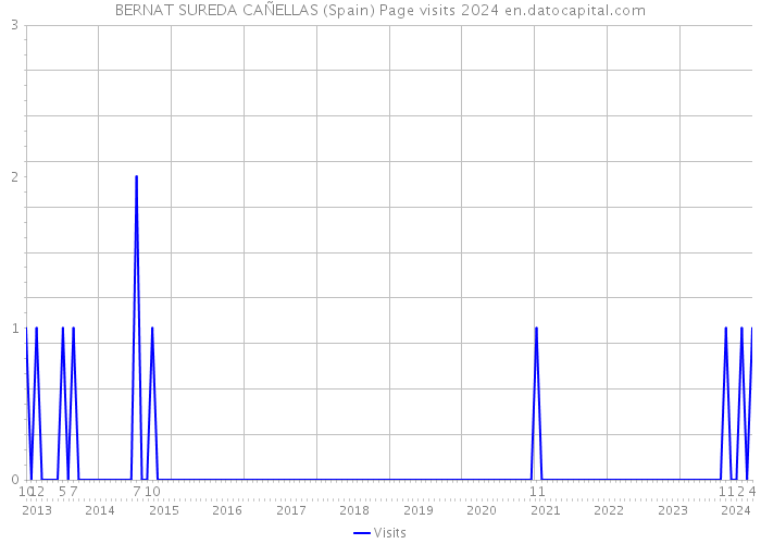 BERNAT SUREDA CAÑELLAS (Spain) Page visits 2024 