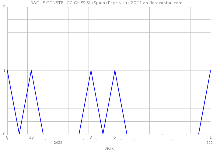 RAOUF CONSTRUCCIONES SL (Spain) Page visits 2024 