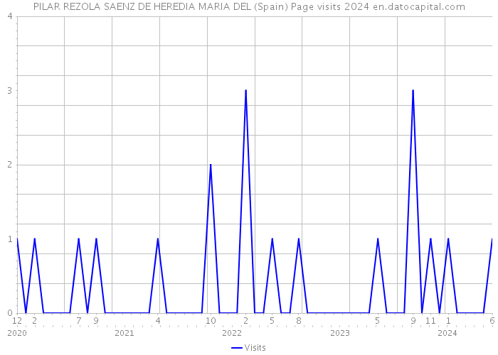 PILAR REZOLA SAENZ DE HEREDIA MARIA DEL (Spain) Page visits 2024 