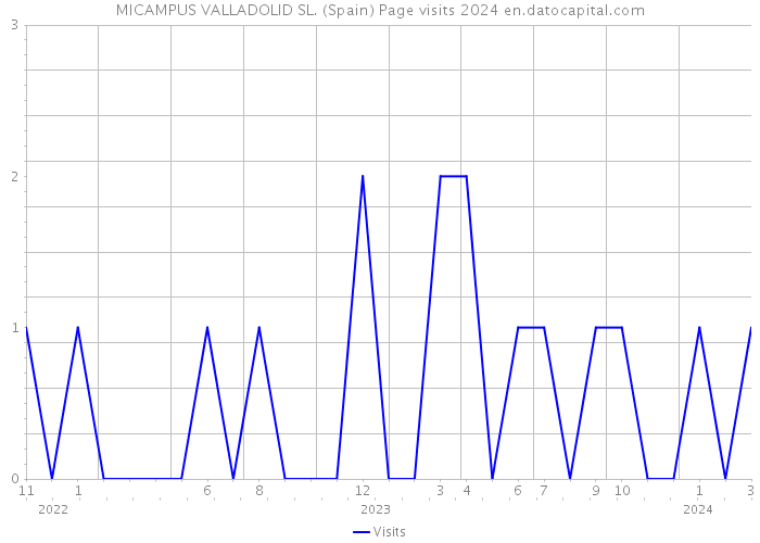 MICAMPUS VALLADOLID SL. (Spain) Page visits 2024 