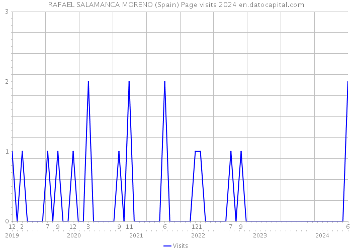 RAFAEL SALAMANCA MORENO (Spain) Page visits 2024 