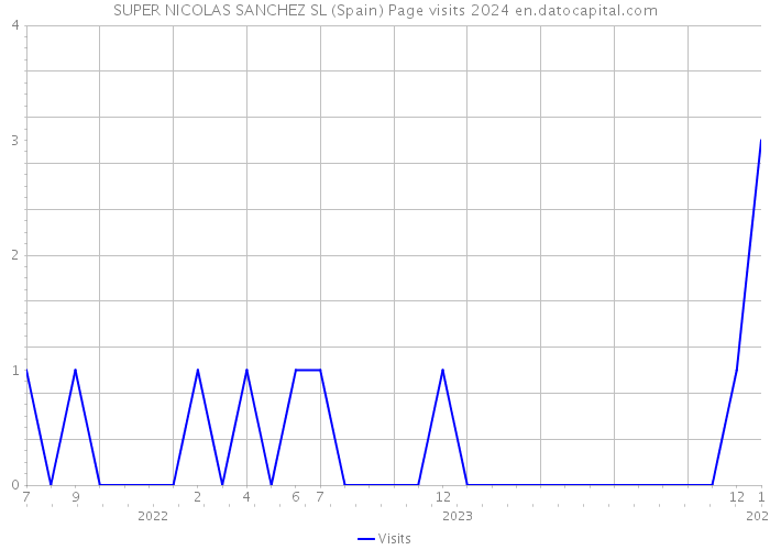 SUPER NICOLAS SANCHEZ SL (Spain) Page visits 2024 